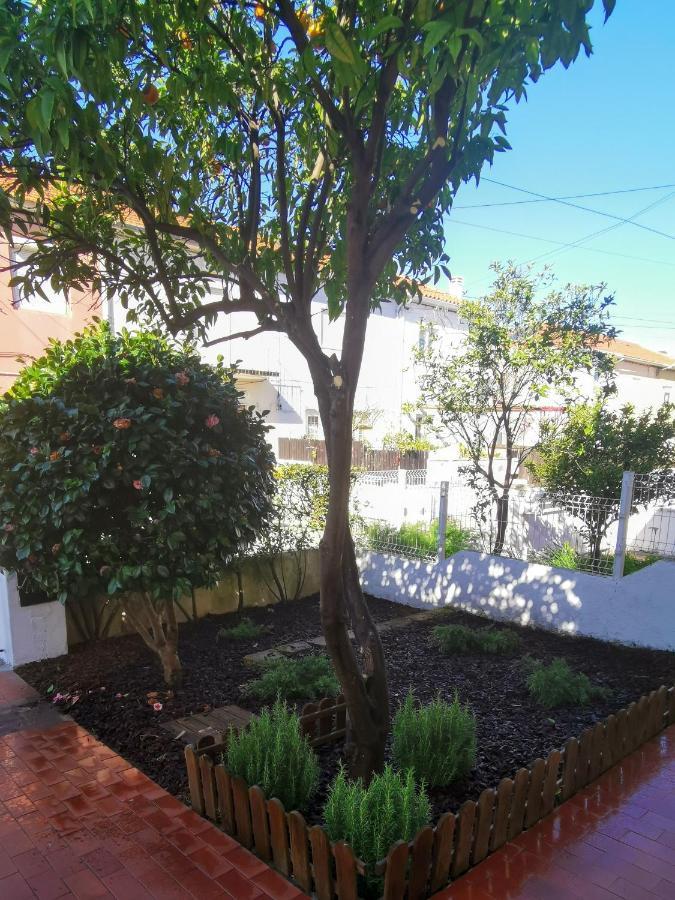 Villa Coimbra - Casa Inteira Exterior photo